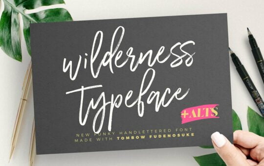 wilderness-typeface.jpg