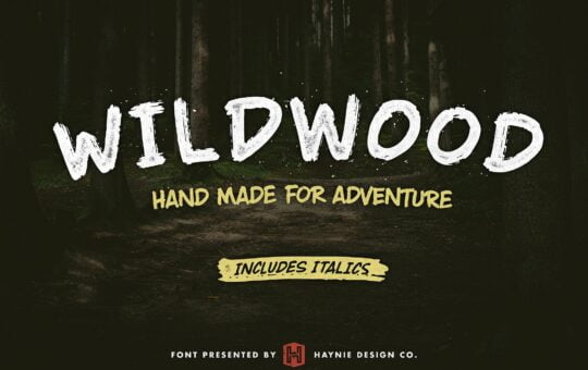wildwood-dry-brush-lettering-font.jpg