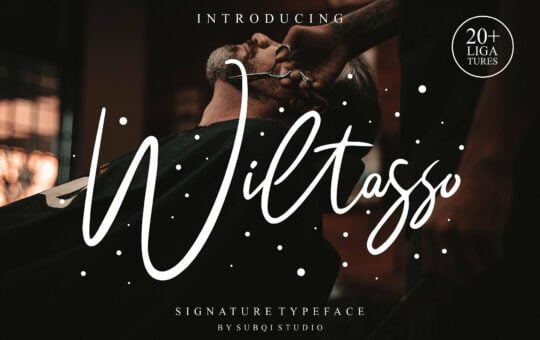 wiltasso-signature-font.jpg