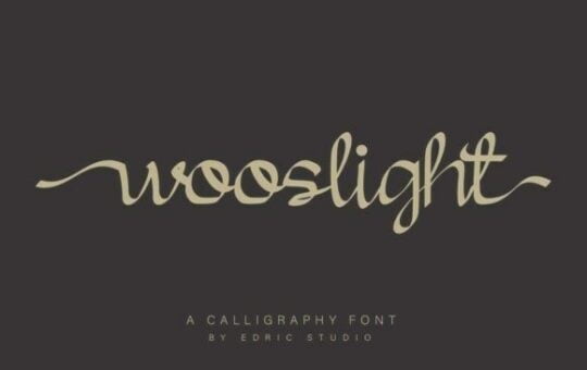 wooslight-font-1.jpg