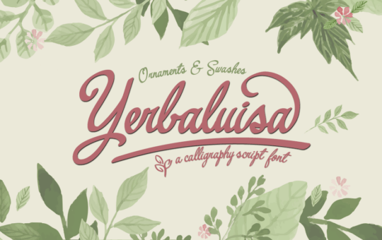 yerbaluisa_calligraphic_script_font-fb.png