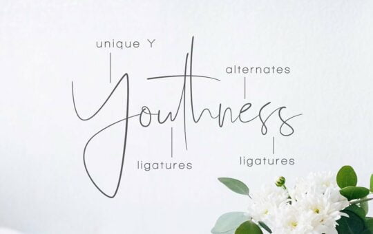 youthness-script-font.png.jpg