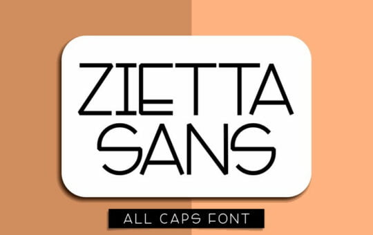 zietta-sans-font-1.jpg