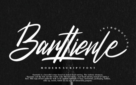 Barttienle-Handwritten-Font-1.jpg