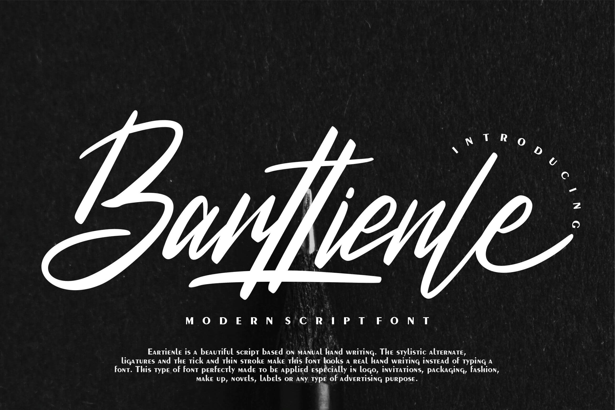 Barttienle-Handwritten-Font-1.jpg