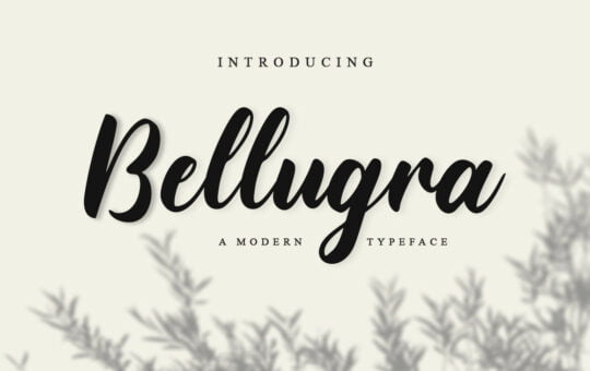 Bellugra-Font.jpg