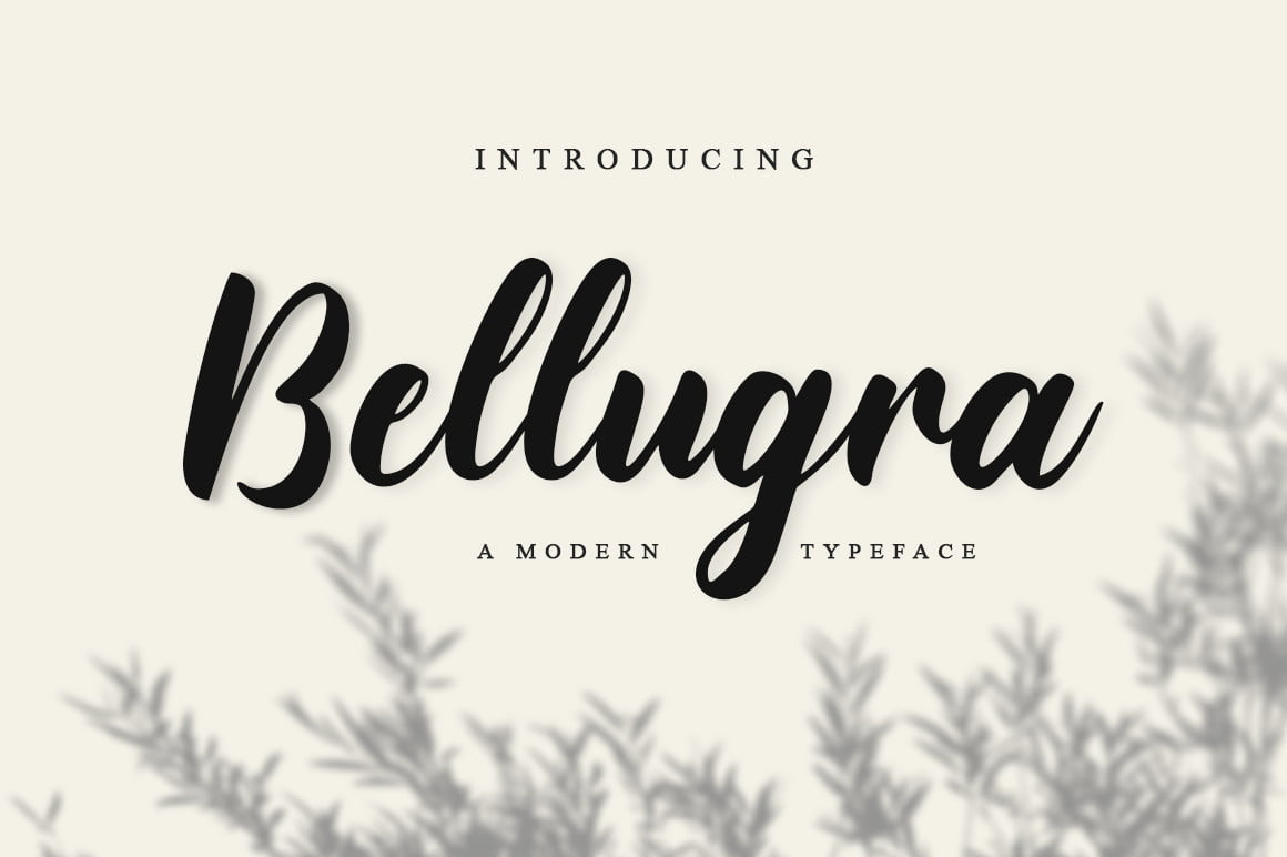 Bellugra-Font.jpg