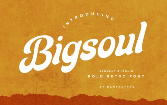 Bigsoul-Bold-Script-Font-1.jpg