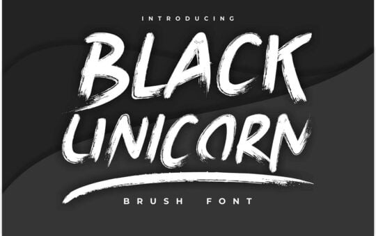 Black-Unicorn-Brush-Script-Font-1.jpg