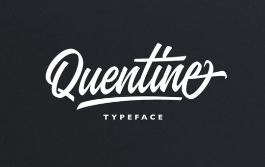 Quentine-Script-Typeface-1.jpg